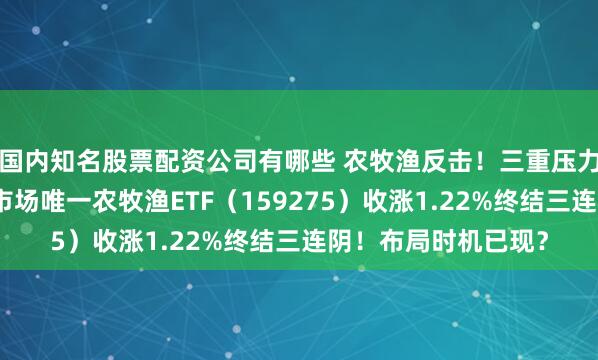 国内知名股票配资公司有哪些 农牧渔反击！三重压力倒逼产能出清，全市场唯一农牧渔ETF（159275）收涨1.22%终结三连阴！布局时机已现？